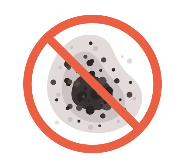 Best Mold Documentation for Insurance Claims  in Miami Beach, FL