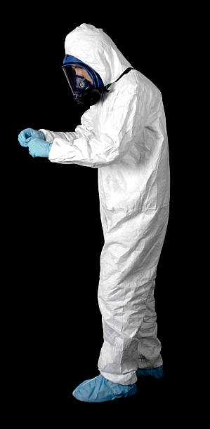 Best Crawl Space Mold Remediation  in Miami Beach, FL